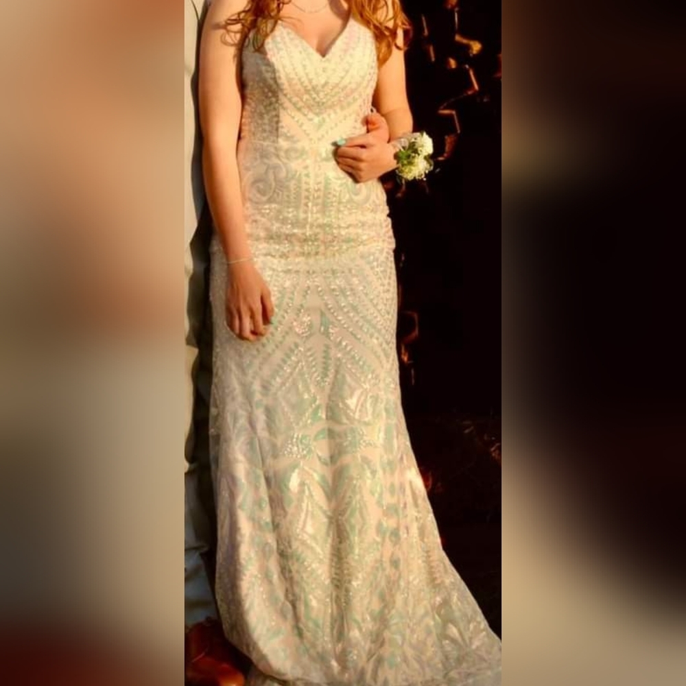 Prom Dress - Picture 3 of 4